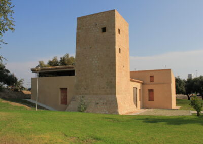 20. Alicante. Las Torres de la Huerta (1)