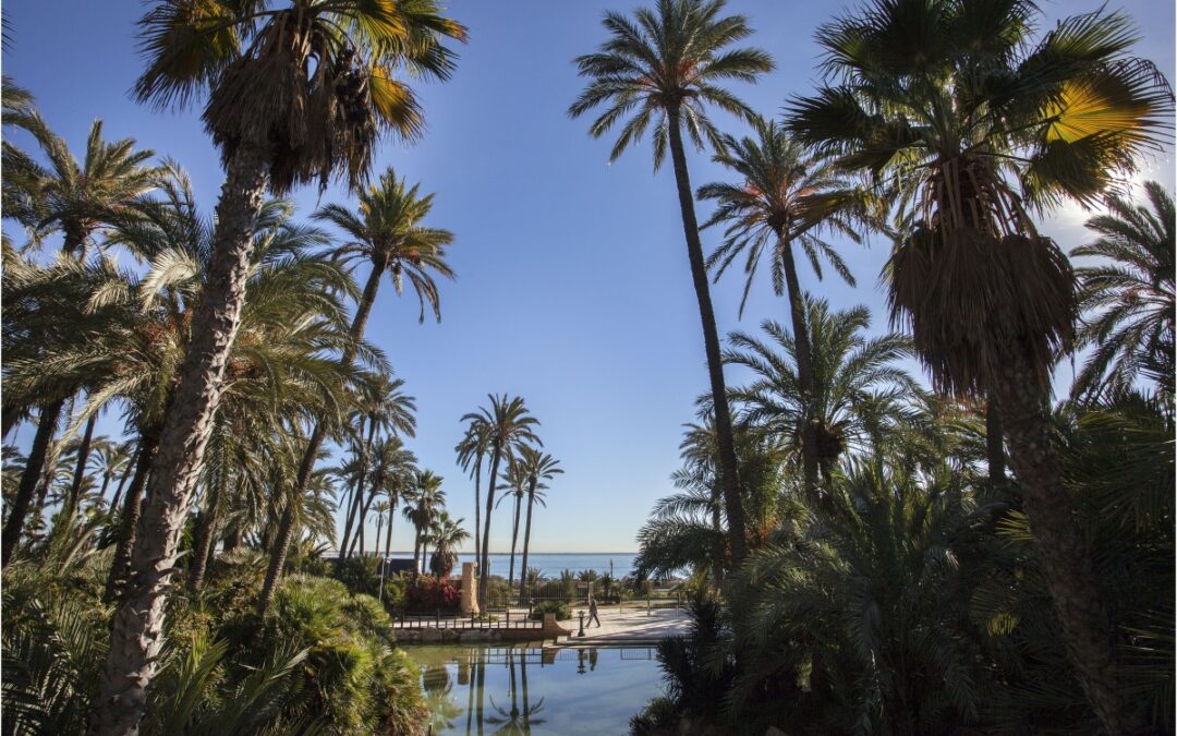 Parque El Palmeral