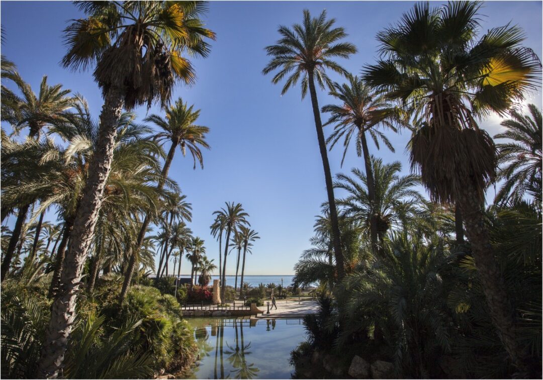 Parque El Palmeral