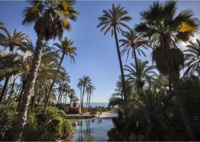 Parque El Palmeral
