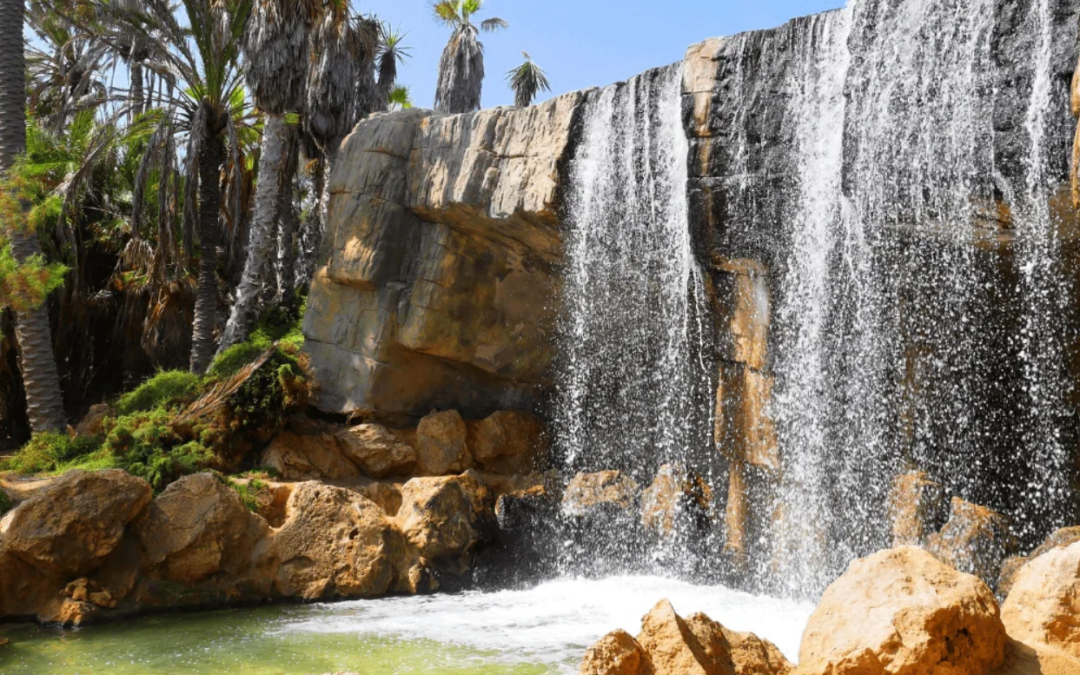 El Palmeral Park